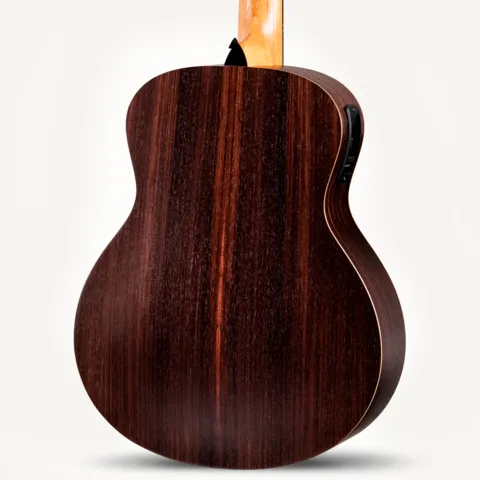 Taylor-GS Mini e Special